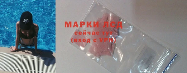 крисы Верея