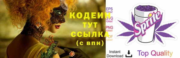 соль ск Верхний Тагил