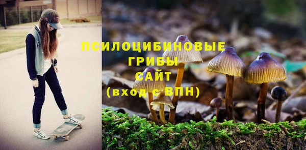крисы Верея