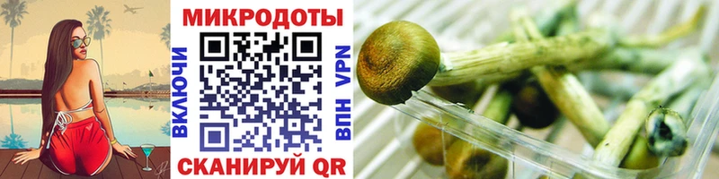Купить закладки  Корсаков  Галлюциногенные грибы Psilocybe 